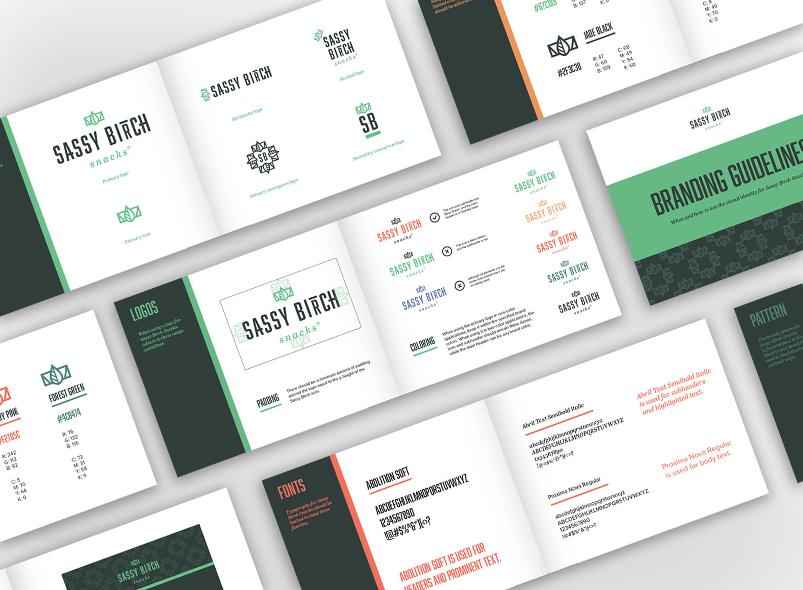 Brand guidelines for vegan snack company